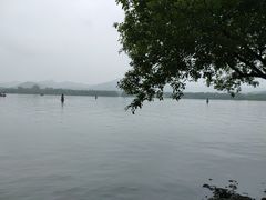 -西湖外事游船(花港观鱼码头)