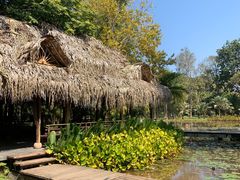 -中国科学院西双版纳热带植物园