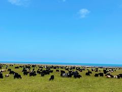 -青海湖国家重点风景名胜区