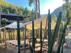 -MOJ coffee(瓯海泽雅水碓坑店)