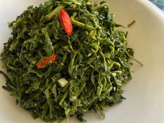 养生枸杞苗-老毛手抓·盐池滩羊非遗手抓(宁夏总店)