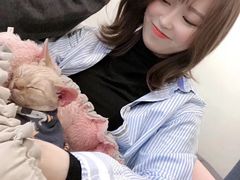 -Heymao猫咖.咖啡厅(东门店)