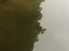 -重庆彩云湖湿地公园