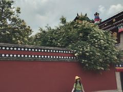 -塔尔寺