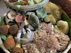 -九溪蒋记菌子宴