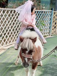 -萌宠亲子动物乐园(槐房万达店)