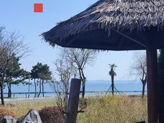 -青岛海泉湾度假区温泉
