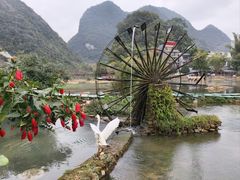 -靖西鹅泉风景区