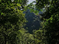 -沣峪森林公园龙潭戏水景区