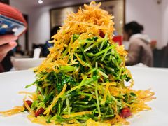 巧拌豆苗-四季民福烤鸭店(王府井灯市口店)