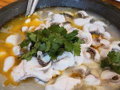 -大鼎石锅鱼(春江里店)