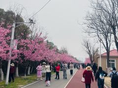 -艾溪湖湿地公园