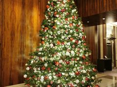 -香港尖沙咀凯悦酒店