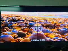 -天津古林古海岸遗迹博物馆