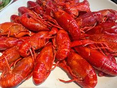 清蒸大虾-一棠龙虾•王牌虾球(光谷天地店)