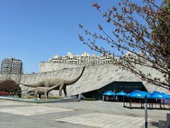 -安徽省地质博物馆