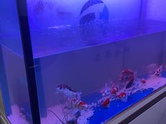 -圣和足道·瑶浴SPA·养生茶府(光华店)
