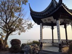 -贡湖湾湿地公园
