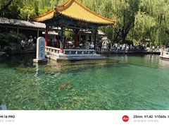 -趵突泉景区