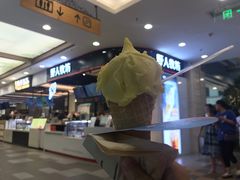 -野人先生现做冰淇淋(西安赛格店)