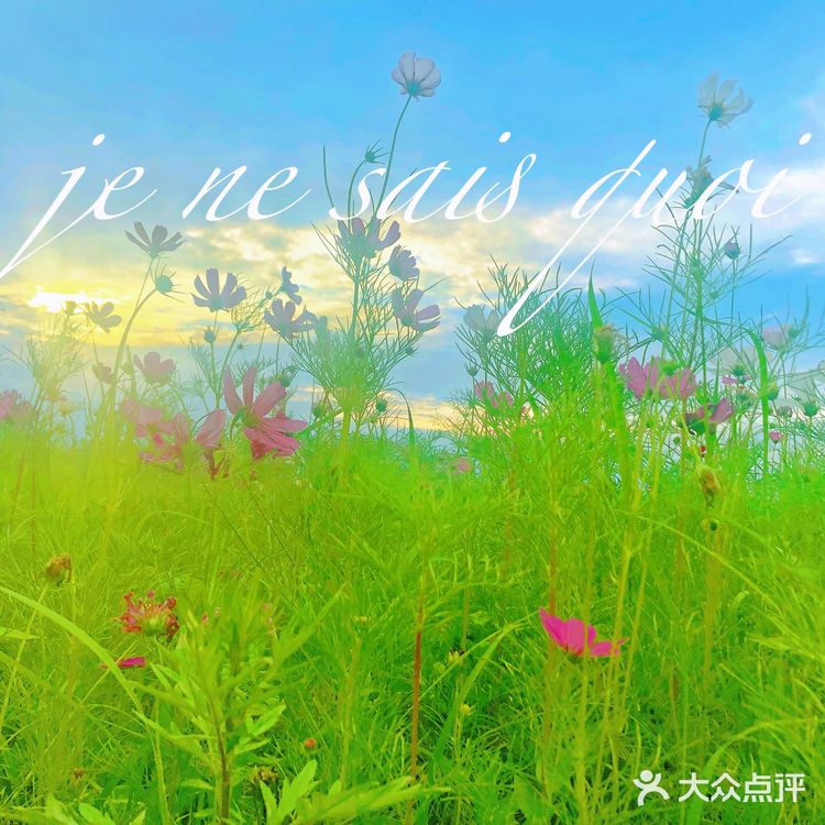 成都情侣必去的公园，很适合拍照