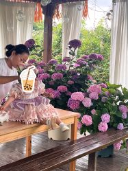 -DORA kids 朵拉儿童摄影花园店