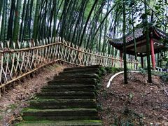 景点-杭州黄龙洞