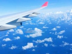 -西沃古尔·拉姆古兰爵士国际机场