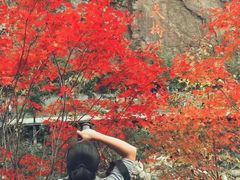 -丹东天桥沟景区
