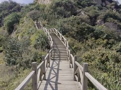 -大岭沟猕猴桃谷风景区