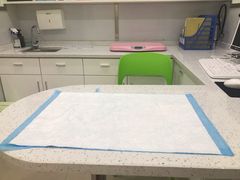 -佳雯宠物医院(金华南路分院)