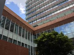 -香港大学