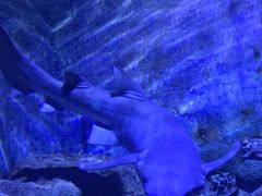 -厦门海底世界