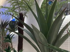 -兰湘子·湘菜小炒(崂山丽达店)