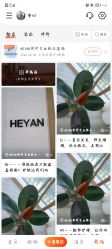 -HEYAN荷妍专业脱毛连锁机构