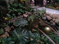 -云境生态园(红谷滩店)