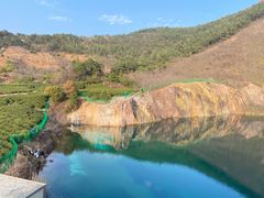 -树山生态村