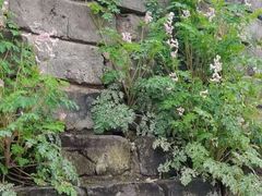 -东坡赤壁风景名胜区