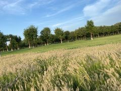 -汉长安城未央宫国家考古遗址公园