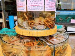 -荔城生鲜盛宴(番禺旗舰店)