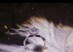 -钻石小鸟钻戒婚戒定制(石路店)