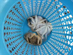 -李妹海鲜大排档(星海湾花园小区店)