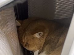 -美联众合动物医院·24h京西诊疗中心