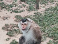 -西霞口神雕山野生动物世界
