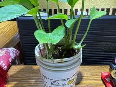 -学习谷日语培训日本留学·多语种外语教学(海淀人大分部)