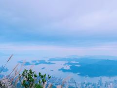 -梧桐山风景名胜区