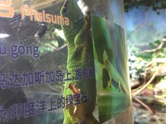 -萌宠奇缘