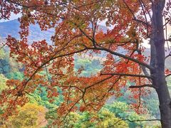 -广州市石门国家森林公园