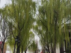 -西安汉城湖景区