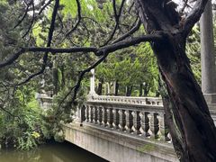 -叶家花园